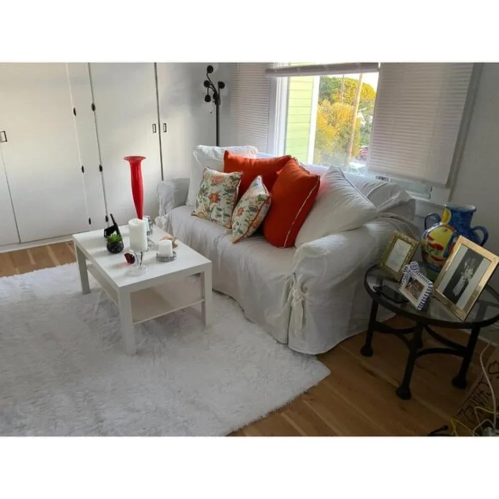 New 5x7 White Shag Area Rug, Ultra Soft Fluffy Non-Skid Plush Carpet for Home